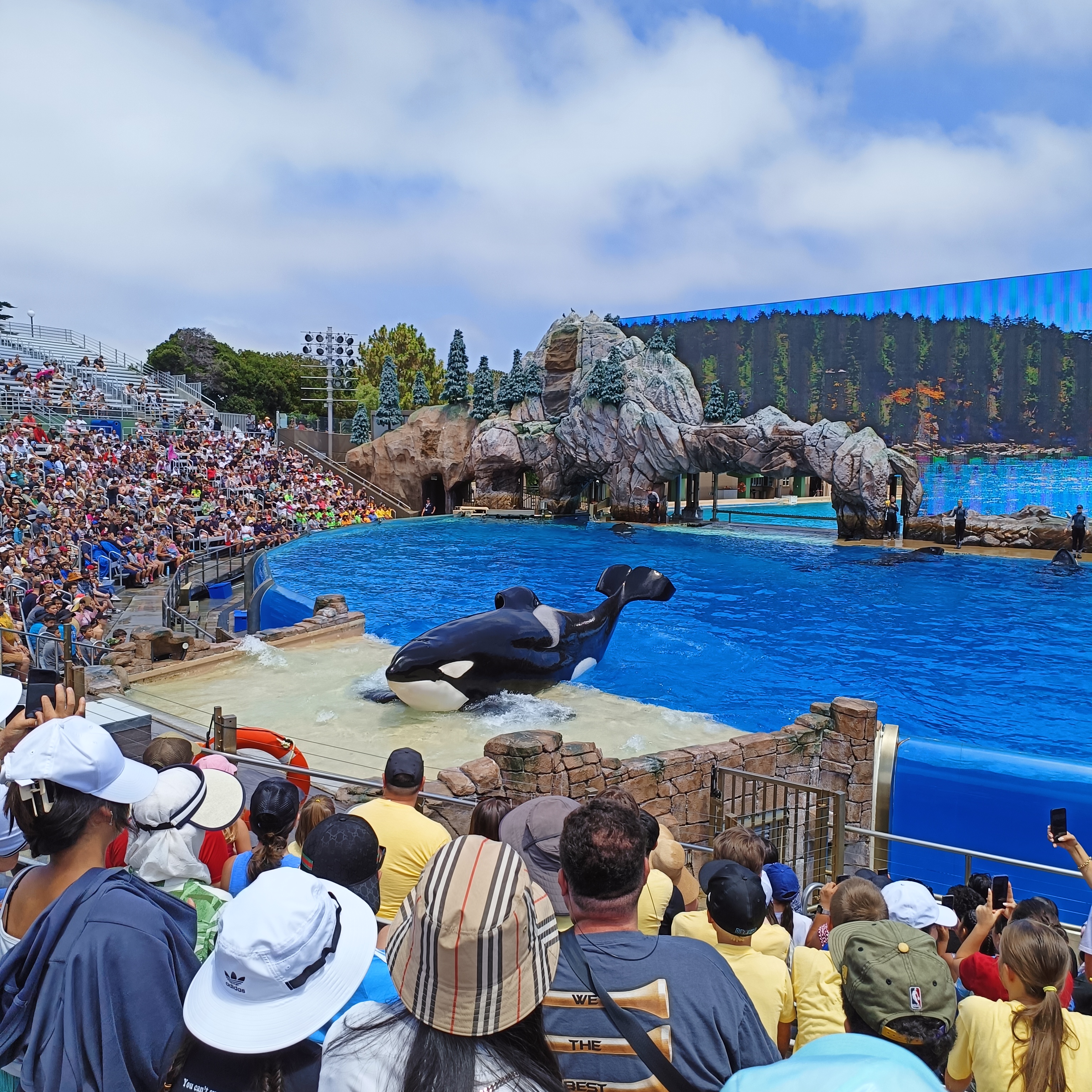 San Diego - Sea World